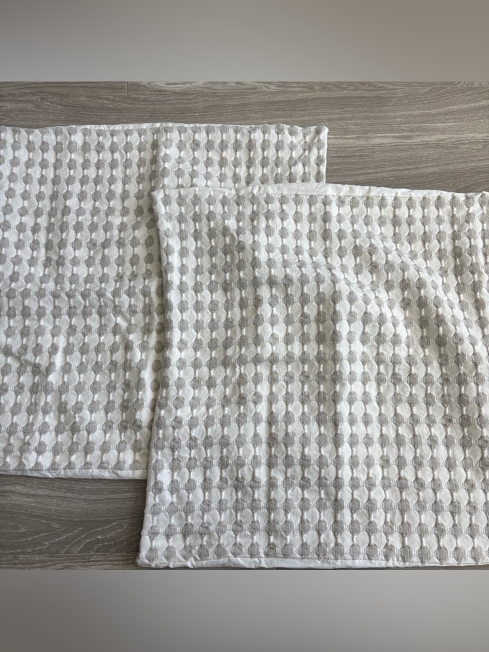 CB2 Estela Grey Euro Sham Pair in Cream and Light Gray